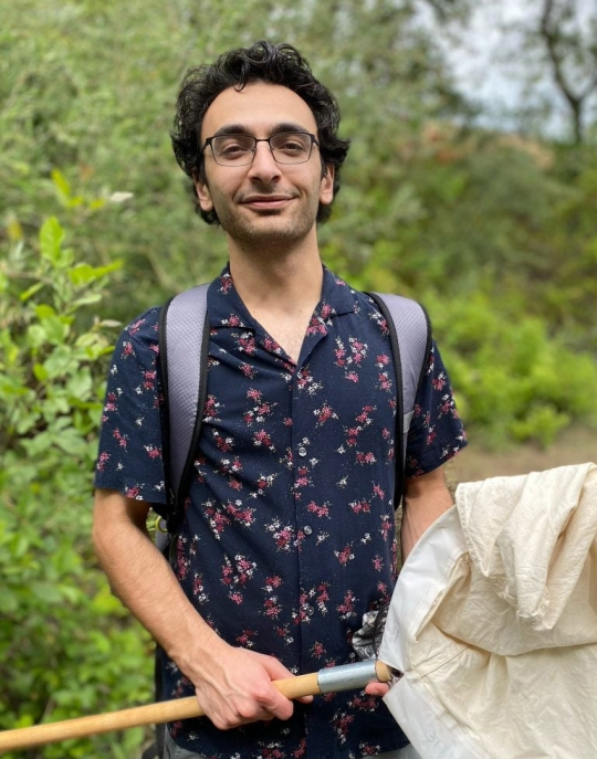 Dino Sbardellati